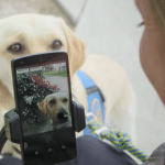 Voice Access y la Discapacidad Motora voice acsess